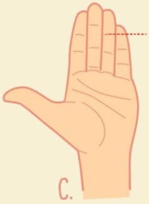 know-yourself-test-pinky-finger-length-3.jpg