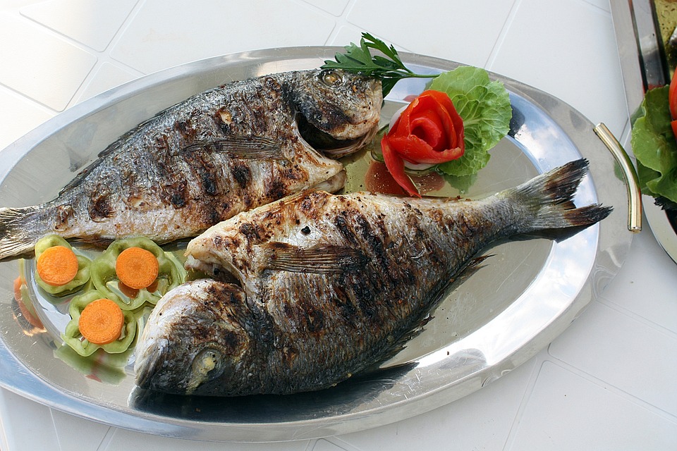 fish-2073798-960-720.jpg