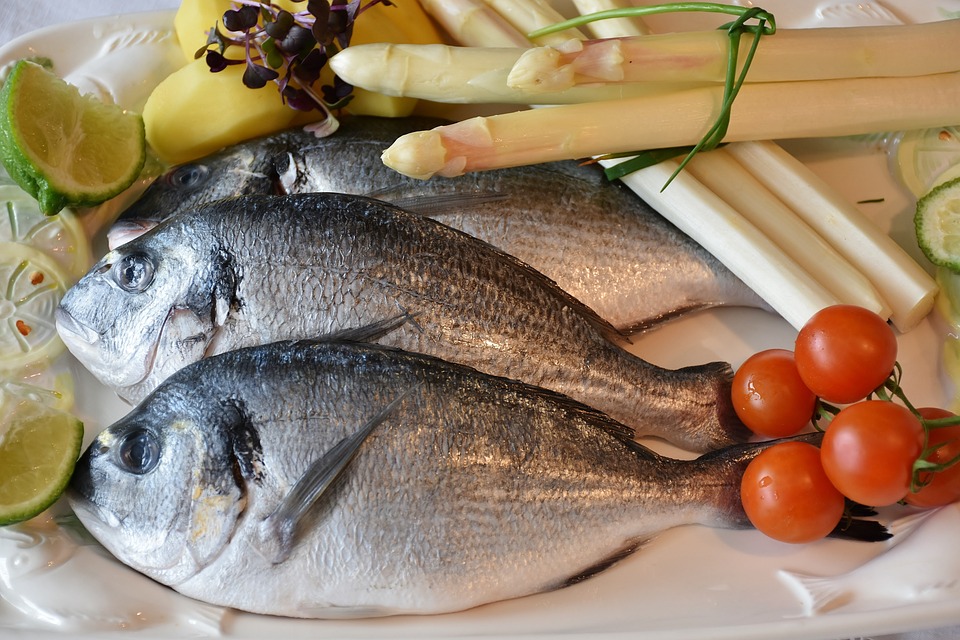 fish-2230852-960-720.jpg