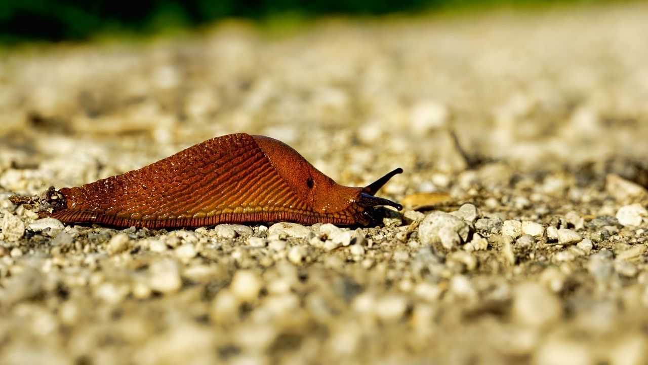 haber-fotografi-7.jpg